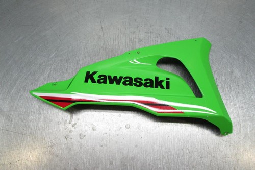 Kawasaki zx6r ninja - ninja, zx-6