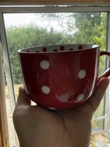 Soup supper large mug - soup/supper, red