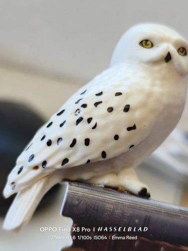 Harry potter hedwig bookmark - harry,