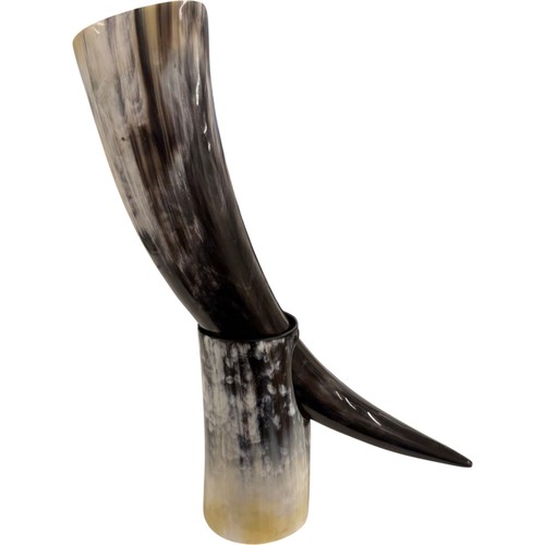 Long horn tankard viking - long,