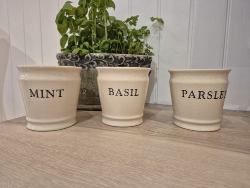 Herb plant pots for indoor - herb,