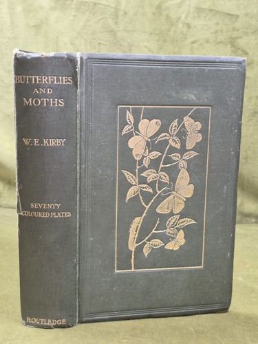 Butterflies moths of the - &,