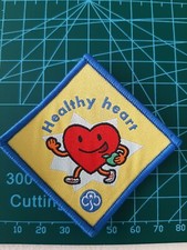 Girlguiding Interest Badges -
