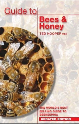 Guide bees honey the - to,
