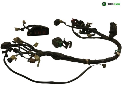 Electric harness honda 1100 - harness, vt