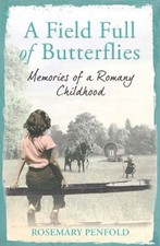 Field full butterflies by - full, of