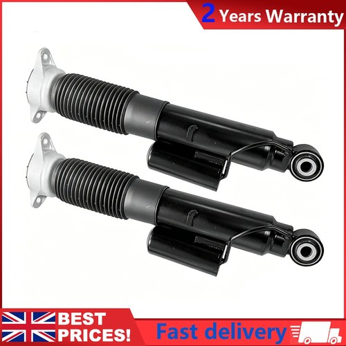 Rear shock absorbers - rear,