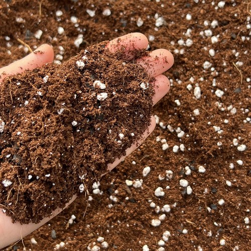 Universal houseplant potting - universal,