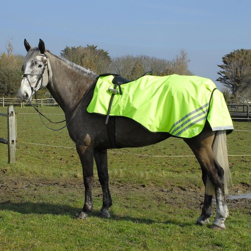 Waterproof horse vis - waterproof, hi