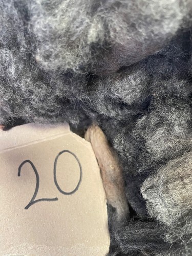 Rare unique blue - , grey