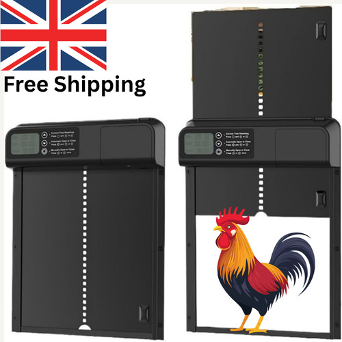 Automatic chicken coop door - coop,