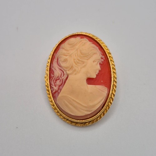 Sphinx cameo brooch orange - cameo,