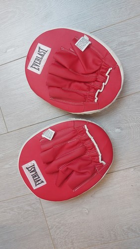 Everlast sparing boxing pads - everlast,