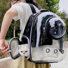 Astronaut bubble window dog - bubble,