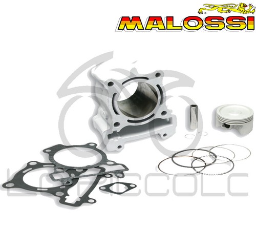 Malossi tech thermal group - malossi, i-tech