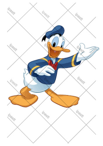6 donald duck - 3",4",5",6",