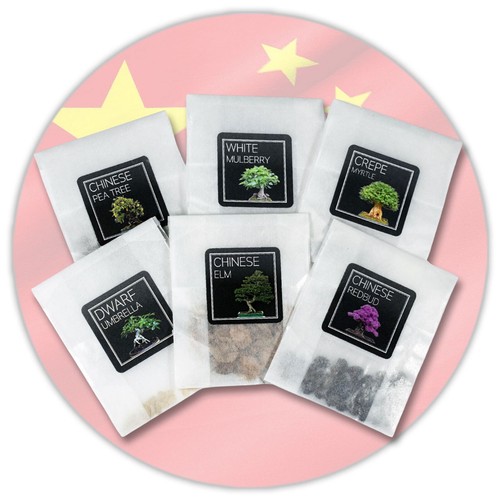 Chinese bonsai seed collection - chinese,