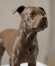 Custom Personalise statue dog