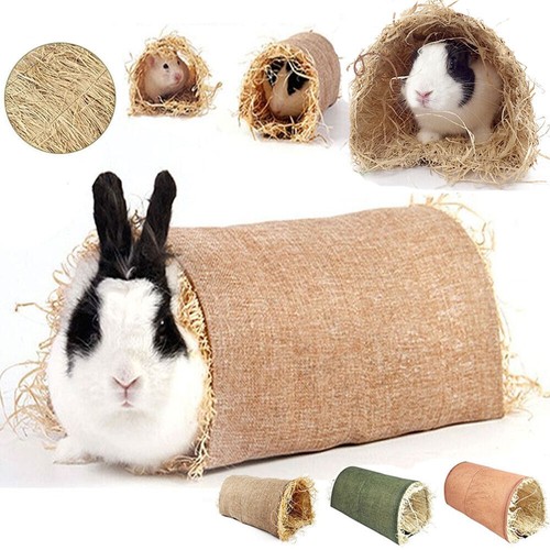 Nest animal hamster - nest, rabbit