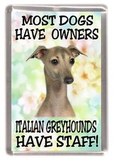 Italian Greyhound Fridge