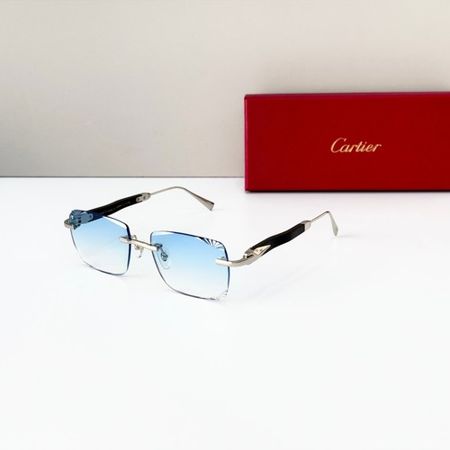 Cartier ct02092o silver wood - silver,