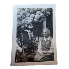 photo vtg humble lady sits in