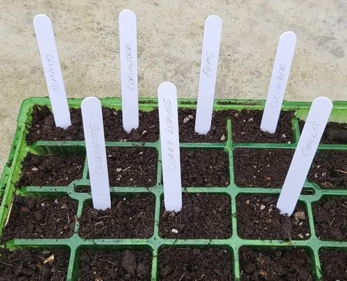 Plant label white tags - tags, stick