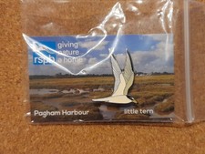 RSPB LITTLE TERN Pagham