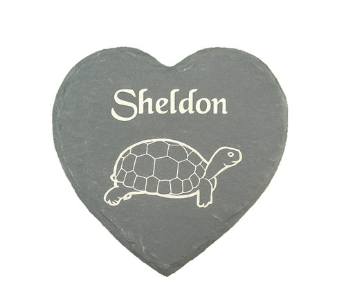 Personalised pet tortoise - personalised,