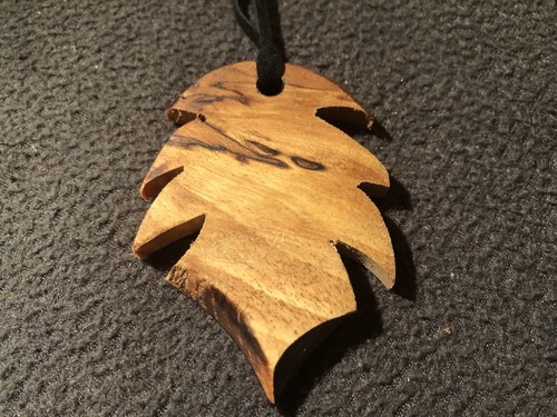 Pendant necklace spalted - pendant, necklace,