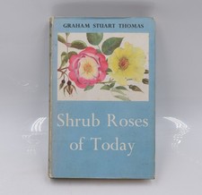 Shrub Roses of Today Graham