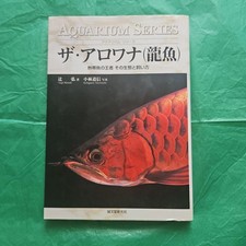 The arowana dragon fish - the,