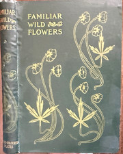 FAMILIAR WILD FLOWERS by F