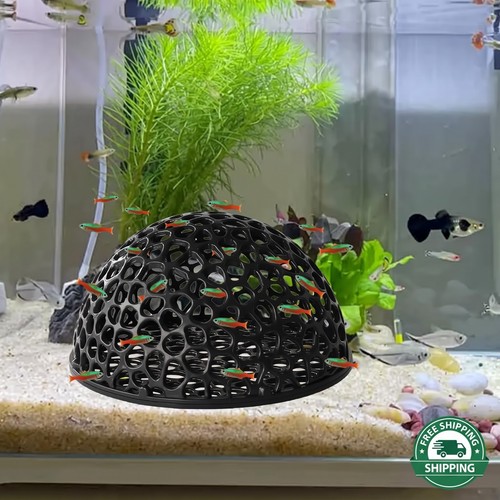 Fish tank shrimp cave - fish,