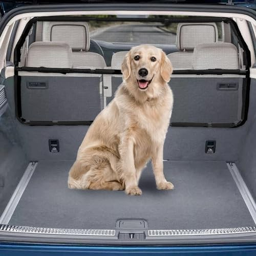 Dog car barrier escape - dog,