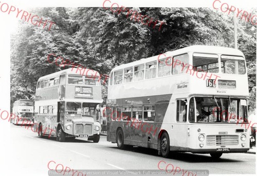 Bus photo solent - bus,