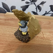 Woodland surprises BLUEBIRD