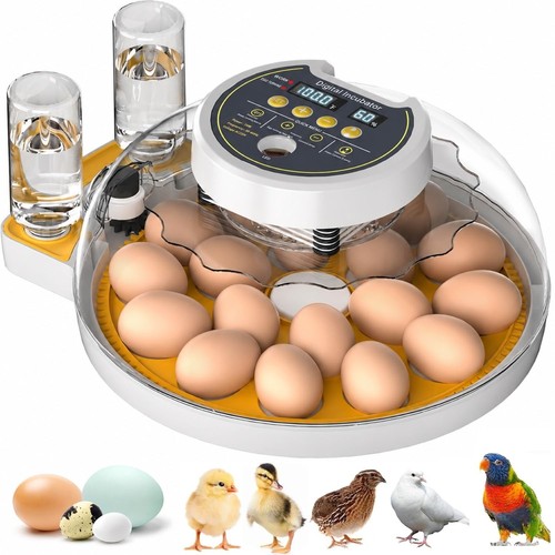 Upgrade egg incubator - egg,