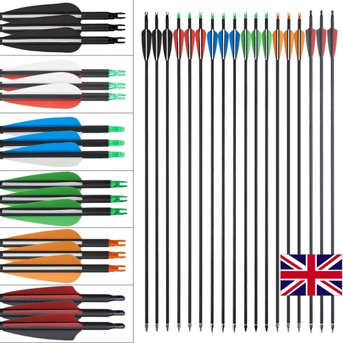 Carbon arrows sp500 550 - 30'',