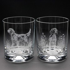 English setter dog whiskey - english,