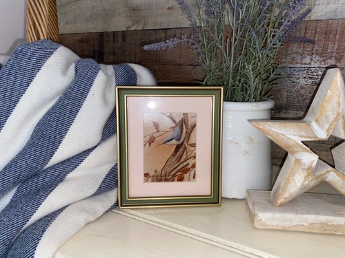 Small framed bird - bird, picture