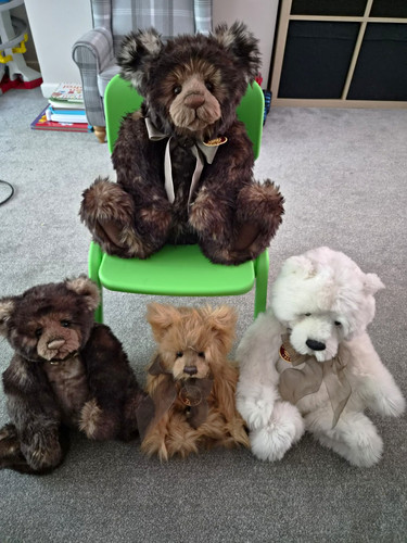 Charlie bears plush - charlie,