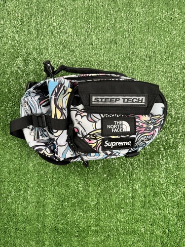 Supreme the north face - north,