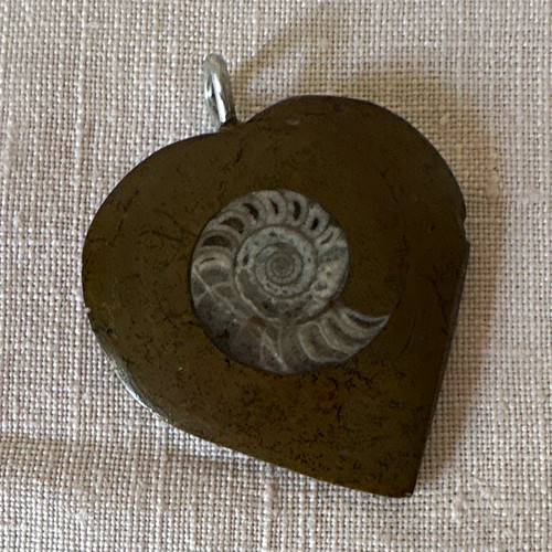 Polished heart shaped ammonite - polished, heart-shaped