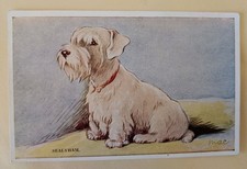 Mac Dog Postcard, Sealyham