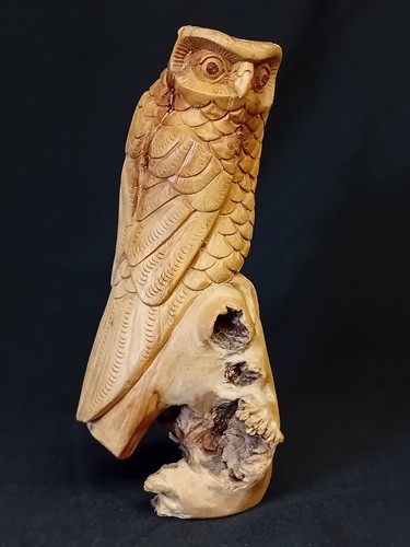 Hand carved burr owl - hand, 'owl'