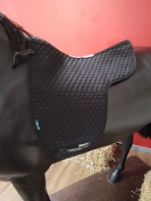 Black Nuumed Griffin Hiwither