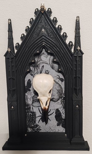 Crow skull mounted gothic - mounted, a