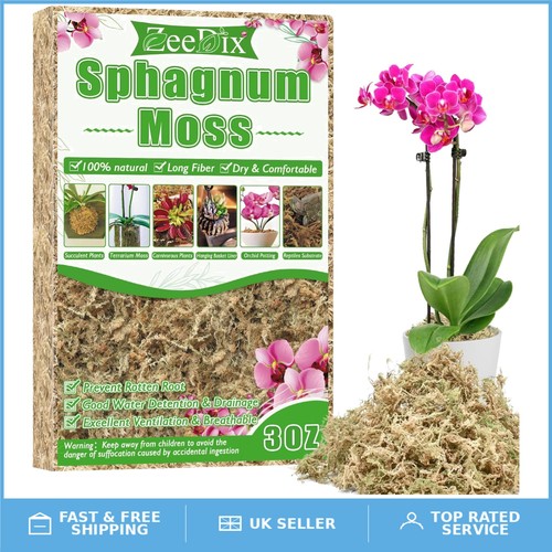 Dried sphagnum moss 85g - moss,