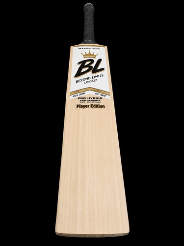 Cricket fusion player - cricket, v1